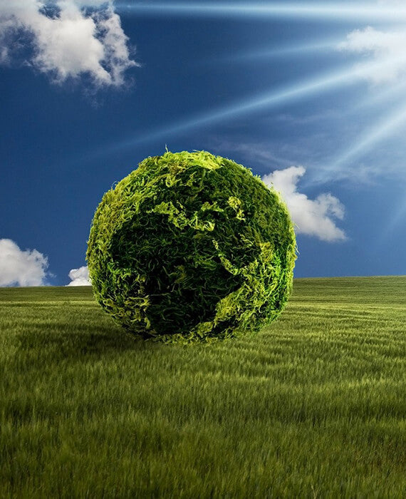 Pioneering a Greener Sip